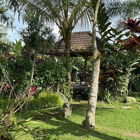 Dewa Jati Cottages 파양간 외부 사진