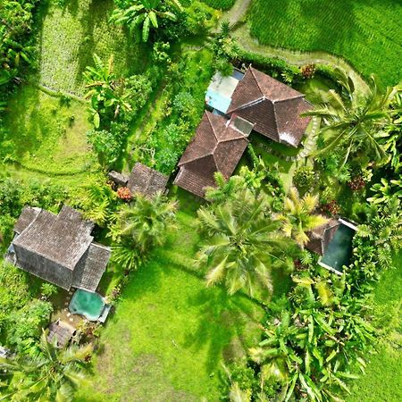 Dewa Jati Cottages 파양간 외부 사진