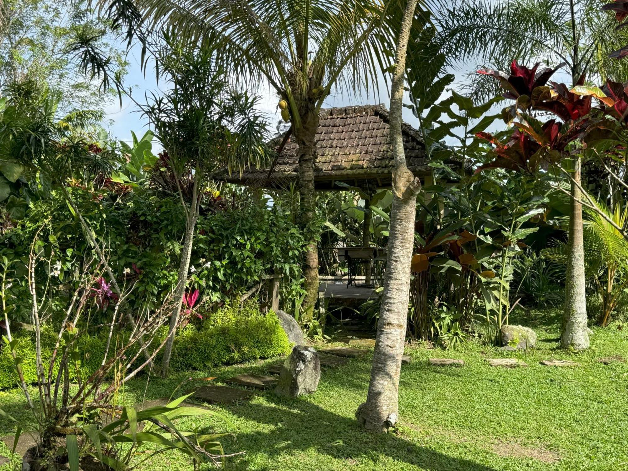 Dewa Jati Cottages 파양간 외부 사진