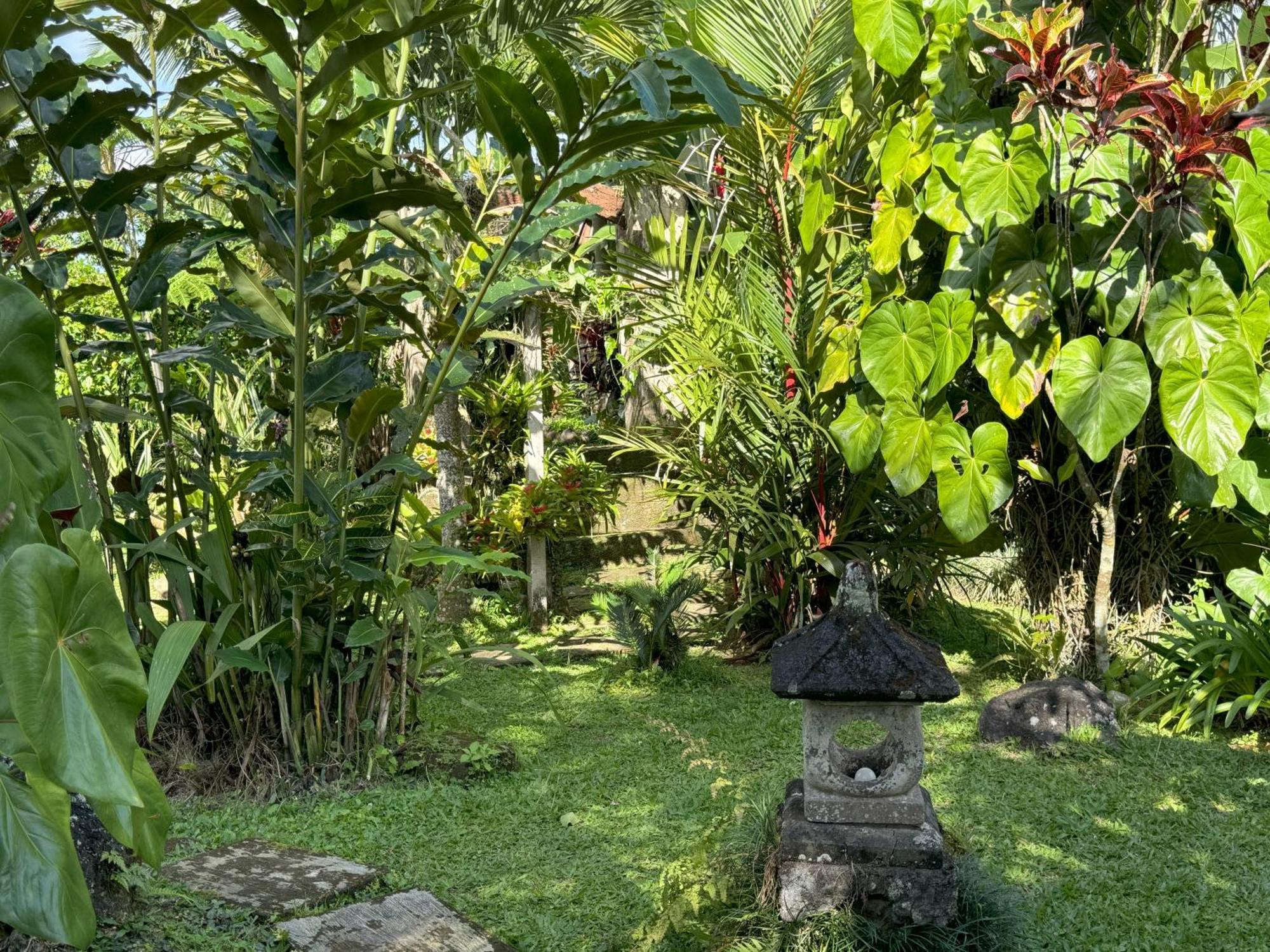 Dewa Jati Cottages 파양간 외부 사진
