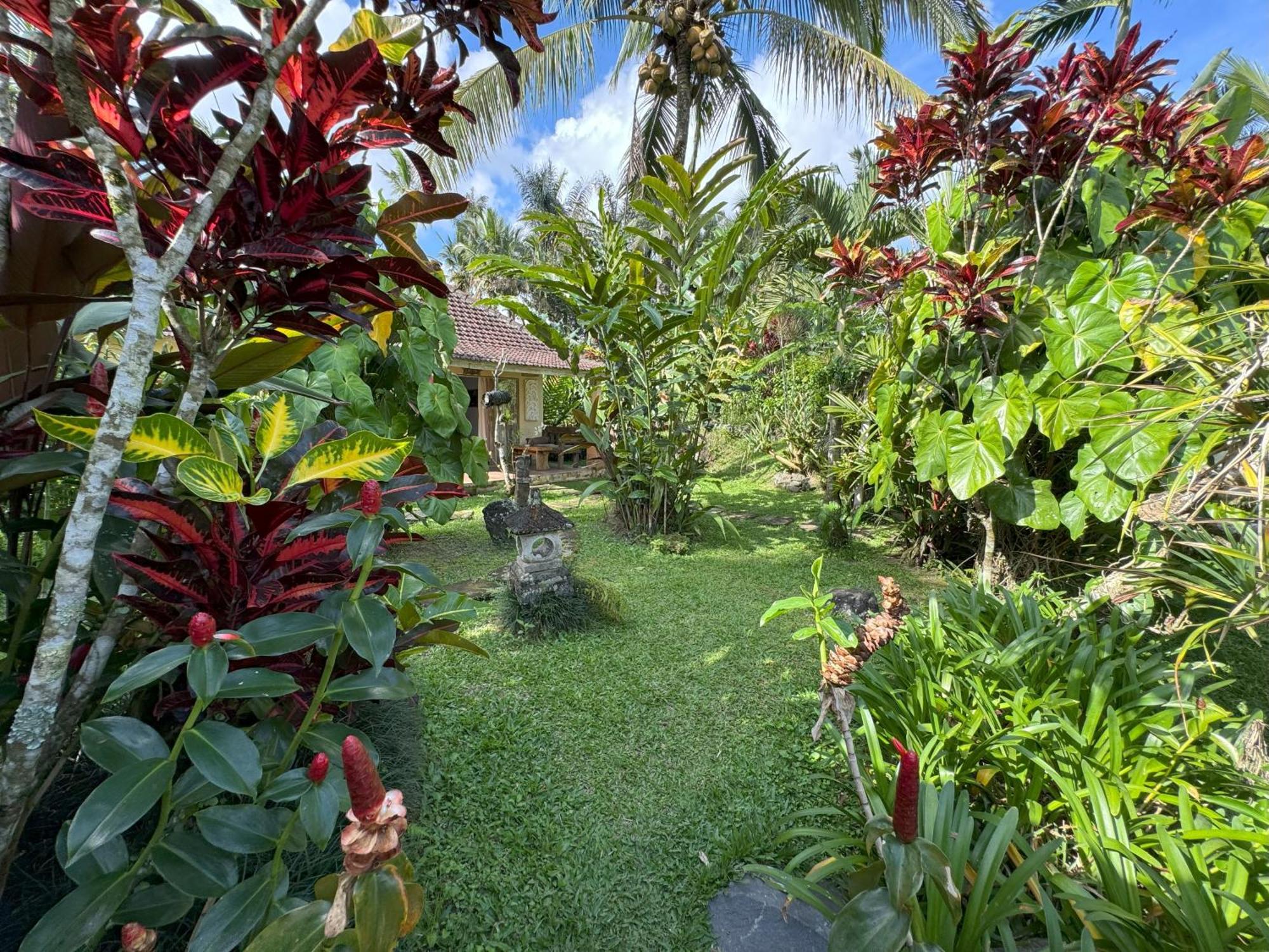 Dewa Jati Cottages 파양간 외부 사진