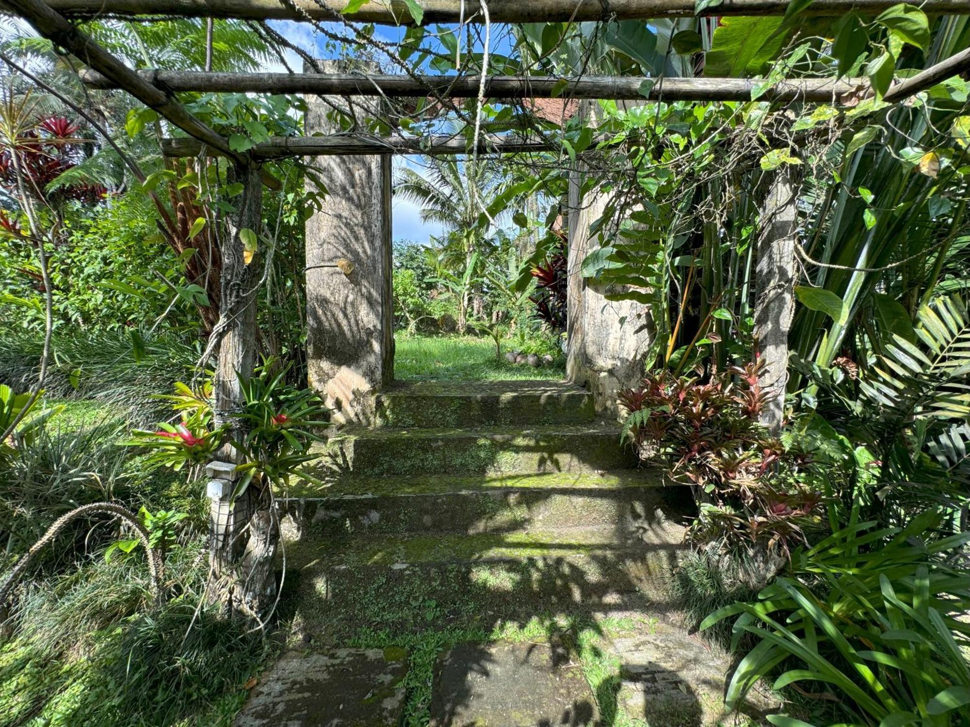 Dewa Jati Cottages 파양간 외부 사진