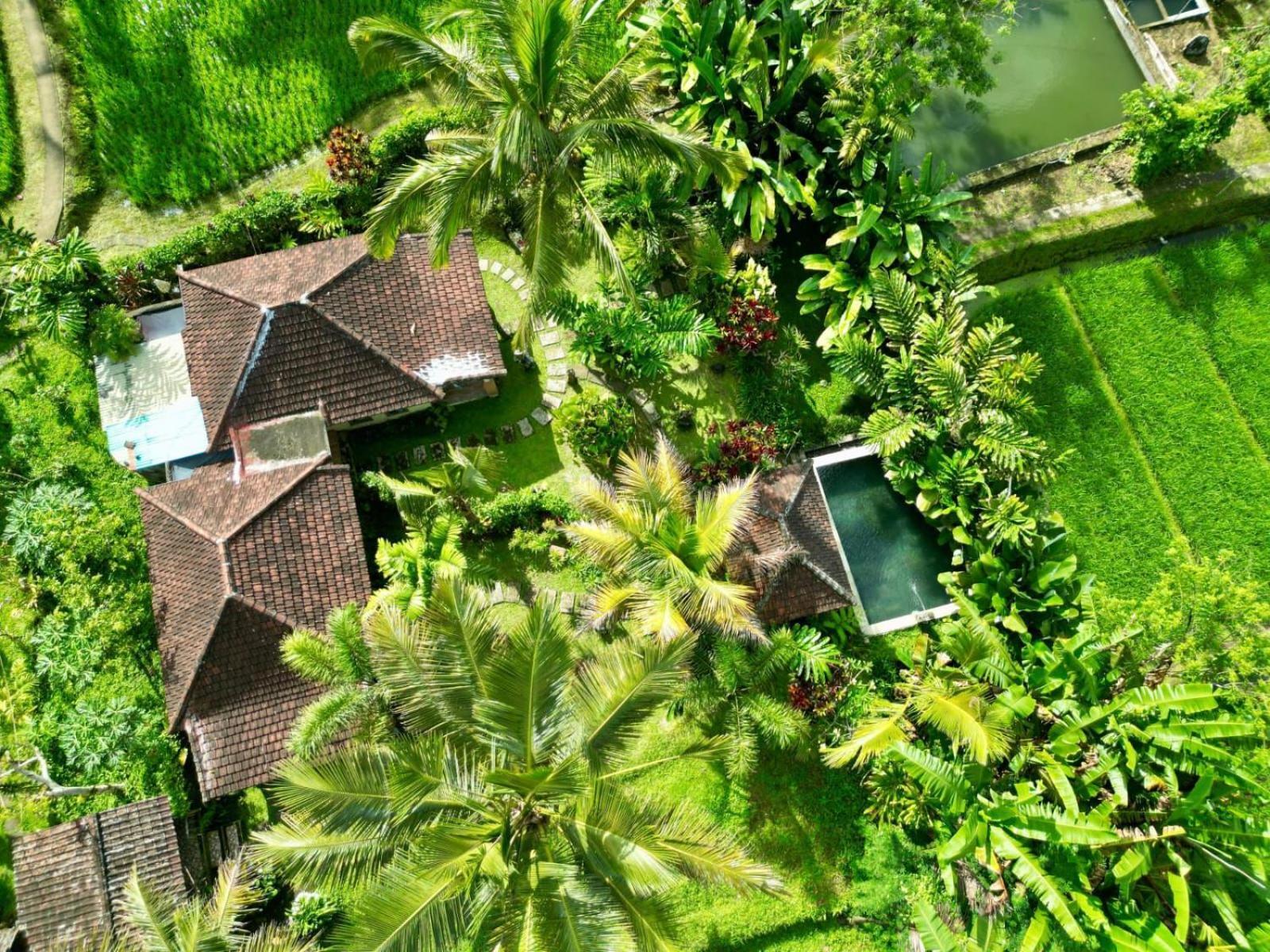 Dewa Jati Cottages 파양간 외부 사진