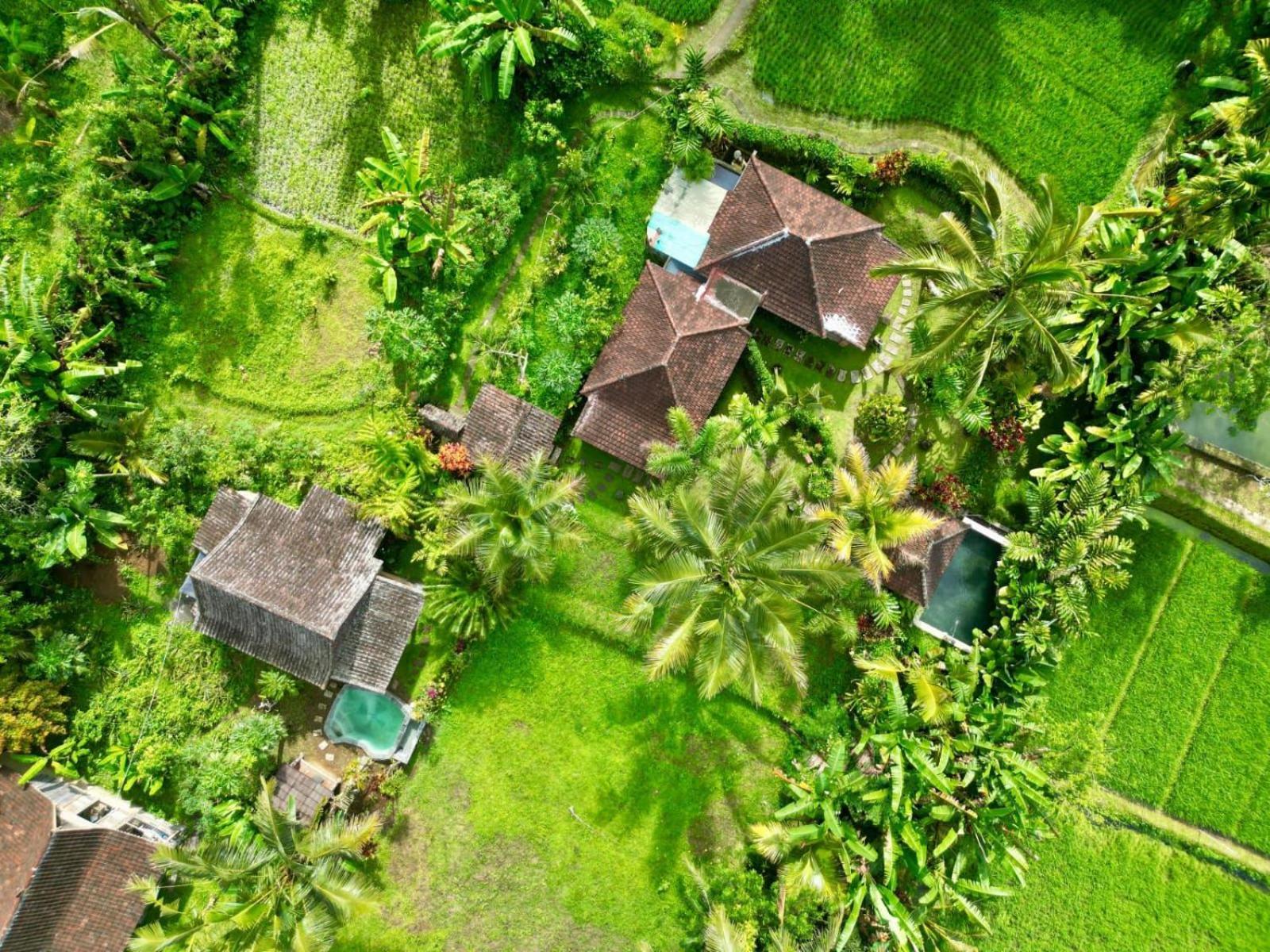 Dewa Jati Cottages 파양간 외부 사진