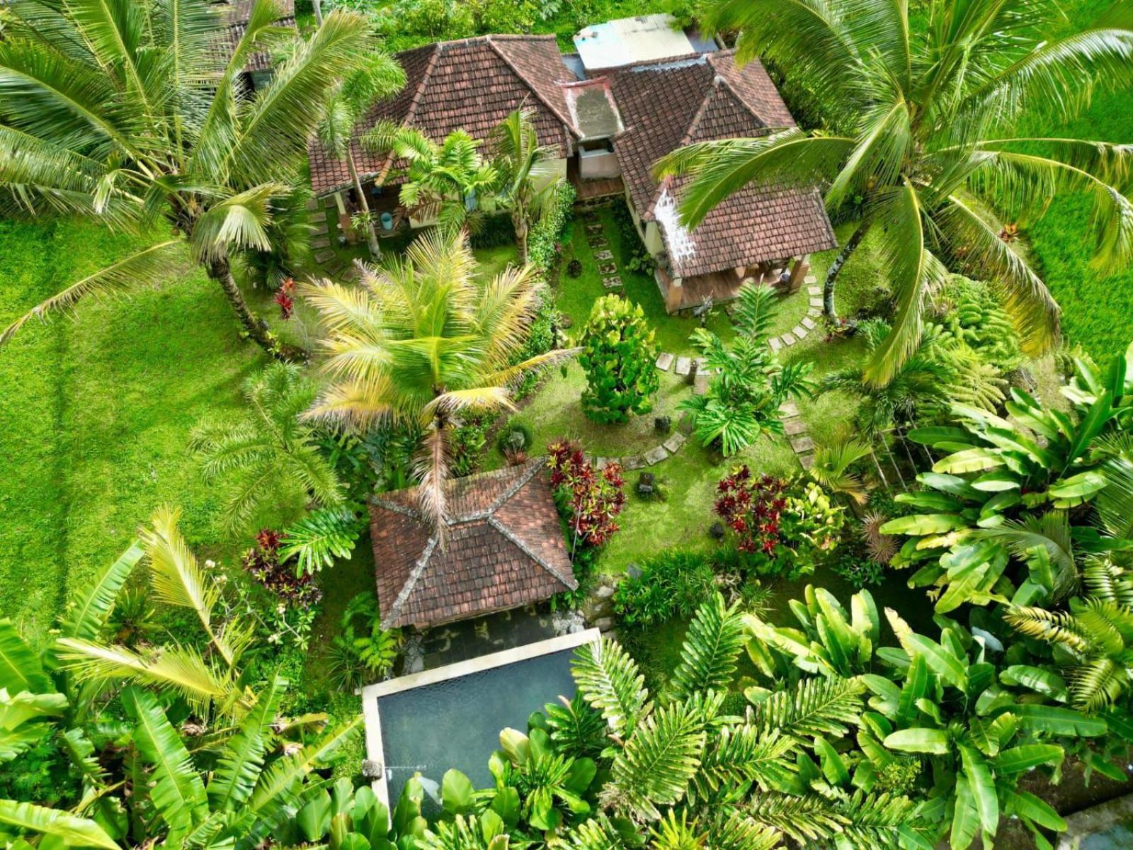 Dewa Jati Cottages 파양간 외부 사진